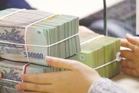 VAMC đã mua hơn 260.000 tỷ đồng nợ xấu