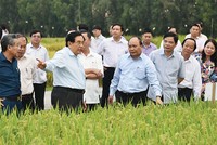 Với chủ trương dành hơn 100.000 tỷ đồng cho vay ưu đãi đầu tư nông nghiệp công nghệ cao,
Thủ tướng Chính phủ cho rằng, ngành nông nghiệp Việt Nam sẽ khai thác được thế mạnh vốn có