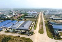 Săn tìm “sếu đầu đàn” cho Quảng Trị