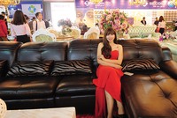 Cũng giống các loại nội thất khác, thị trường sofa rất đa dạng chủng loại, mẫu mã và chất lượng. Ảnh: Dũng Minh