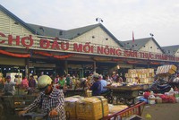 Chợ đầu mối nông sản Thủ Đức đem về khoản lợi nhuận 30 tỷ đồng cho TDH trong năm 2017