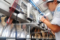 Vinamilk chi trả tổng cộng 50% cổ tức bằng tiền mặt cho năm 2017