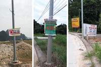 Hình các banner, phướn rao bán đất dễ dàng bắt gặp tại nhiều nơi ở các đặc khu tương lai.