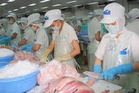 Quý II niên độ 2017-2018, HVG báo lỗ 272 tỷ đồng