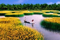Tổ chức Diễn đàn phát triển bền vững Đồng bằng sông Cửu Long