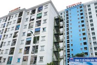 Ngoài phân khúc phổ biến là đất nền, biệt thự, thị trường bất động sản Hải Dương cũng xuất hiện các dự án chung cư, nhà cho người thu nhập thấp