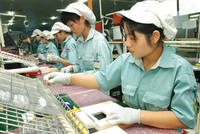 Các doanh nghiệp FDI vượt xa doanh nghiệp trong nước cả về lợi nhuận và hiệu suất sinh lợi.