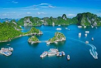 Ảnh Internet