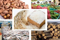 Thuỷ sản và lâm nghiệp là hai mặt hàng duy trì mức độ tăng trưởng.