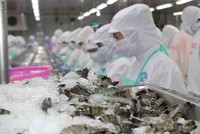 9 tháng Thực phẩm Sao Ta lãi ròng hơn 168 tỷ đồng, tăng 41% so với cùng kỳ năm 2018