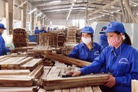 Quý 3/2019, Gỗ Trường Thành lỗ ròng gần 178 tỷ đồng, gấp hơn 5 lần mức lỗ cùng kỳ năm 2018.