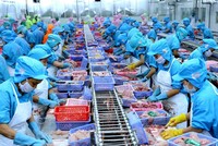 Kết thúc năm 2019 công ty mới thực hiện được lần lượt 75% kế hoạch về doanh thu và vượt kế hoạch lợi nhuận cả năm 2019.