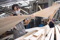 Thương nhân khai báo tự nguyện thông tin về năng lực sản xuất gỗ dán xuất khẩu sang Mỹ