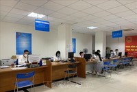 Hoạt động nghiệp vụ tại Cục Thuế Hà Nội. Ảnh: TTXVN phát