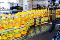 Dây chuyền sản xuất Dầu thực vật Tường An