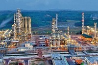 Việc giảm giá dầu từ đầu năm 2020 đến nay đã ảnh hưởng lớn đến doanh thu, hiệu quả của PVN và các đơn vị thành viê.