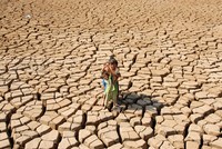ADB hỗ trợ 14 tỷ USD giảm nhẹ khủng hoảng lương thực ở châu Á và Thái Bình Dương