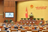 Ngay phiên khai mạc kỳ họp 9, Quốc hội đã nghe tờ trình đề nghị phê chuẩn EVFTA ngay kỳ họp này.