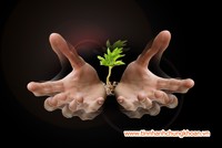 Lãnh đạo các ngân hàng kỳ vọng gì trong năm 2014?