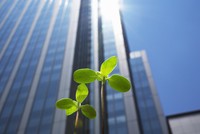ESG là một bộ tiêu chuẩn để đo lường các yếu tố liên quan đến phát triển bền vững và ảnh hưởng của doanh nghiệp đến cộng đồng. Ảnh: Shutterstock.
