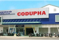Sau 3 năm cổ phần hóa, Codupha vẫn chưa có kế hoạch lên sàn
