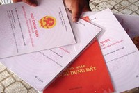 Eximbank suýt “mất” tài sản bảo đảm vì sổ đỏ bị sửa chữa