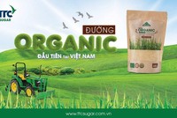 Hội đồng quản trị AgriS (SBT) đồng loạt đăng ký mua vào số lượng lớn cổ phiếu