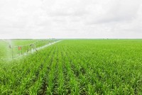 SBT chuẩn bị tiến hành đại hội cổ đông thường niên niên độ 2021-2022