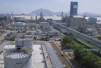 6 tháng, DPM lãi trước thuế 465 tỷ đồng, hoàn thành 105% kế hoạch năm