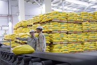 DPM tiết giảm mạnh chi phí trong quý I/2019