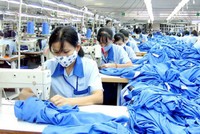 Dệt may Thành Công (TCM): Doanh thu tháng 7 ước đạt khoảng 16,8 triệu USD