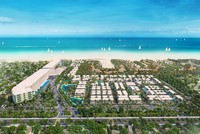 Ông Nguyễn Hồ Nam, Chủ tịch HĐQT BCG: “Không có chủ trương cắt giảm nhân sự"