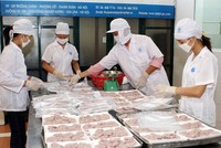 Công ty Thủy sản Đại An, một doanh nghiệp đang hoạt động hiệu quả tại Vườn ươm doanh nghiệp Hà Nội (ảnh nguồn Internet)