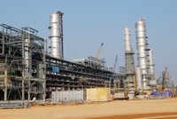 LM8: Chi trả cổ tức 18% năm 2015, tăng vốn điều lệ lên 350 tỷ đồng sau 5 năm