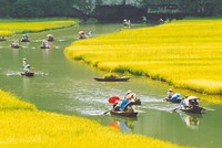 Những lịch trình 2 ngày 1 đêm cho kỳ nghỉ Tết Dương lịch