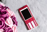 Di động hạng sang cho phái đẹp giá 85 triệu đồng