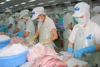 Cổ phiếu HVG bị đưa vào diện kiểm soát đặc biệt từ ngày 4/6