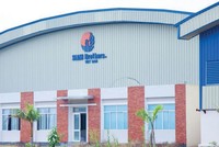 Siam Brothers Việt Nam (SBV): Lợi nhuận năm 2019 tăng 6% nhờ đột biến trong quý IV