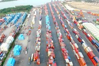 Năm 2020, Vận tải và Xếp dỡ Hải An (HAH) lên kế hoạch doanh thu tăng gần 25%