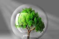 Sự kiện chứng khoán đáng chú ý ngày 6/12