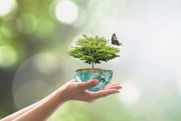 Nhận định thị trường phiên giao dịch chứng khoán ngày 14/3: Giữ tỷ trọng cổ phiếu ngắn hạn ở mức vừa phải