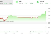Giao dịch chứng khoán phiên chiều 13/10: Thanh khoản mất hút, VN-Index vẫn tăng mạnh