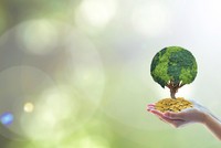 Công bố thông tin phát triển bền vững: Đâu là tiêu chuẩn phù hợp cho doanh nghiệp Việt?