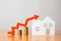 Thị trường tài chính 24h: Ngân hàng tập trung khai thác tính chất mùa vụ