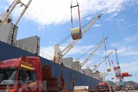 Cổ phiếu HPG đảo chiều, tài sản của vợ chồng tỷ phú Trần Đình Long hao hụt hơn 1.000 tỷ đồng