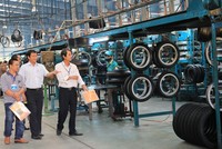 Ngày 14/12, Cao su Đà Nẵng tạm ứng cổ tức bằng tiền mặt 15%