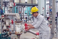 Cổ phiếu cần quan tâm ngày 14/12