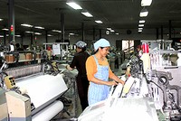 Chậm đăng ký giao dịch, niêm yết chứng khoán, Dệt may Nam Định bị phạt 200 triệu đồng