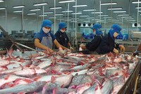 Vĩnh Hoàn (VHC): Năm 2018, lợi nhuận sau thuế cao kỷ lục 1.452 tỷ đồng