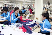 Tháng 1/2019, lợi nhuận sau thuế TNG đạt gần 20 tỷ đồng